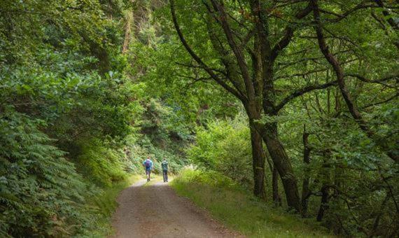 Cape Cottage Glyncorrwg Dış mekan fotoğraf